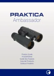Praktica