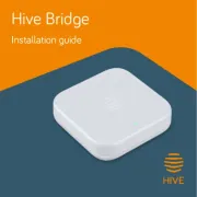 Hive