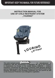 Chipolino