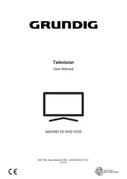 Grundig