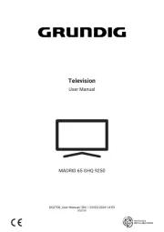 Grundig