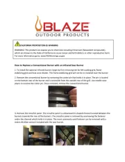 Blaze