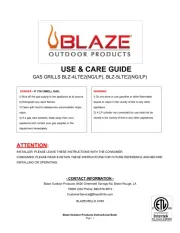 Blaze