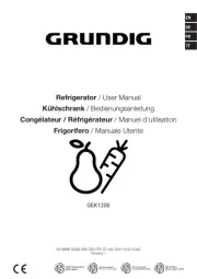 Grundig