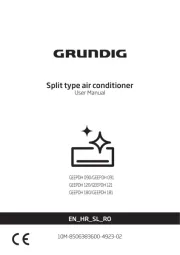 Grundig