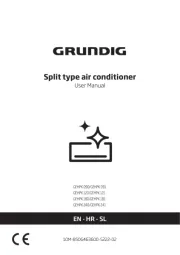 Grundig