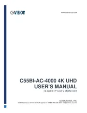GVision