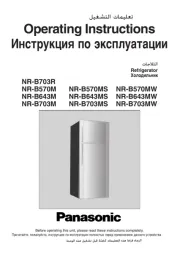 Panasonic