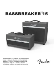 Fender