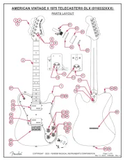 Fender