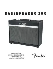 Fender