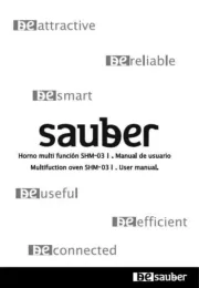 Sauber