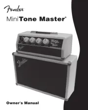 Fender