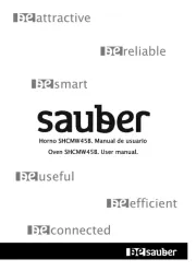 Sauber