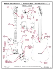 Fender