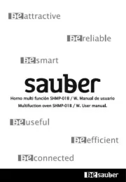 Sauber
