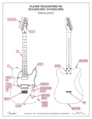 Fender