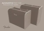 Fender
