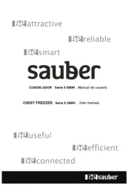 Sauber