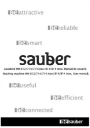 Sauber