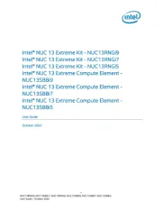 Intel