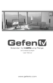 Gefen