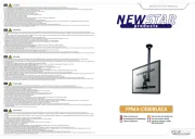 NewStar