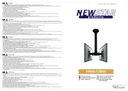 NewStar