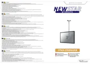 NewStar