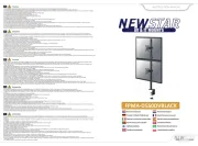 NewStar