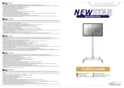 NewStar