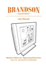 Brandson