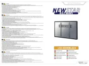 NewStar