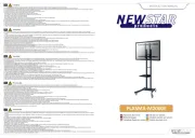 NewStar
