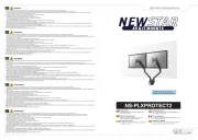 NewStar