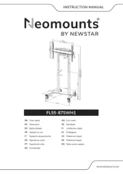 NewStar