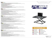 NewStar
