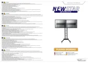 NewStar