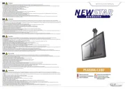 NewStar