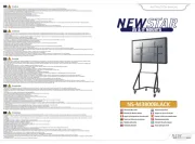 NewStar