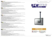 NewStar