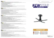 NewStar
