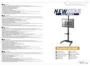 NewStar