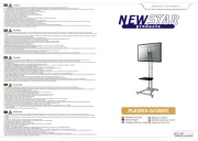 NewStar