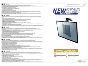 NewStar