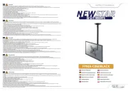 NewStar