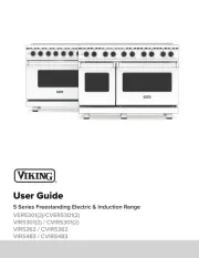 Viking