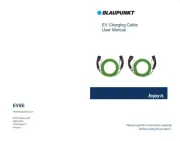 Blaupunkt