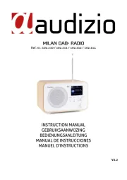Audizio