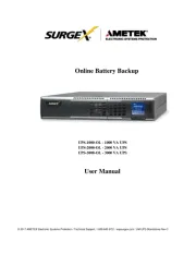 SurgeX